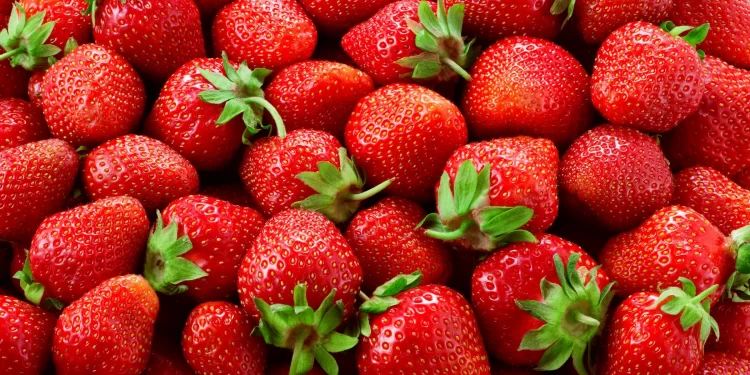 The benefits of strawberry extract in skincare products