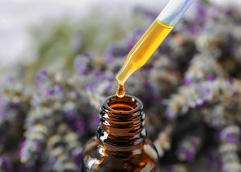 How to Make Lavender Essential Oil – DIY Lavender Oil Recipes