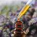 How to Make Lavender Essential Oil – DIY Lavender Oil Recipes